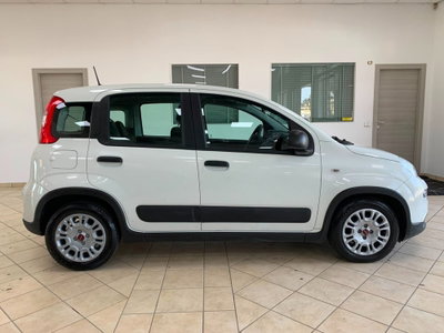 Fiat Panda Cross Cross 1.0 FireFly S&S Hybrid (4)