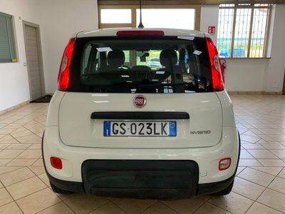 Fiat Panda Cross Cross 1.0 FireFly S&S Hybrid (6)