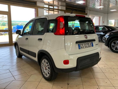 Fiat Panda Cross Cross 1.0 FireFly S&S Hybrid (7)