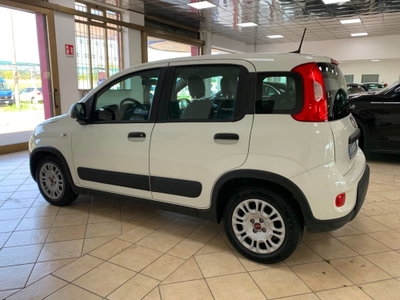 Fiat Panda Cross Cross 1.0 FireFly S&S Hybrid (8)