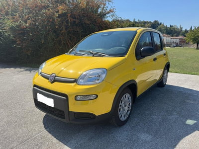 Fiat Panda 1.0 FireFly S&S Hybrid usata