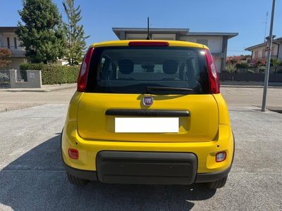 Fiat Panda 1.0 FireFly S&S Hybrid (12)