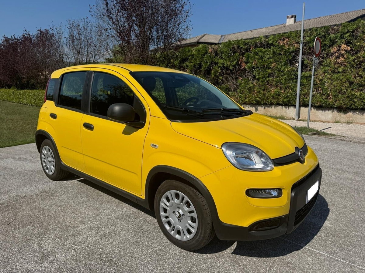 Fiat Panda 1.0 FireFly S&S Hybrid (2)