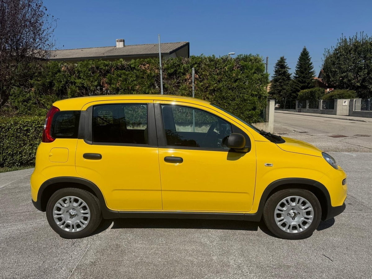Fiat Panda 1.0 FireFly S&S Hybrid (3)