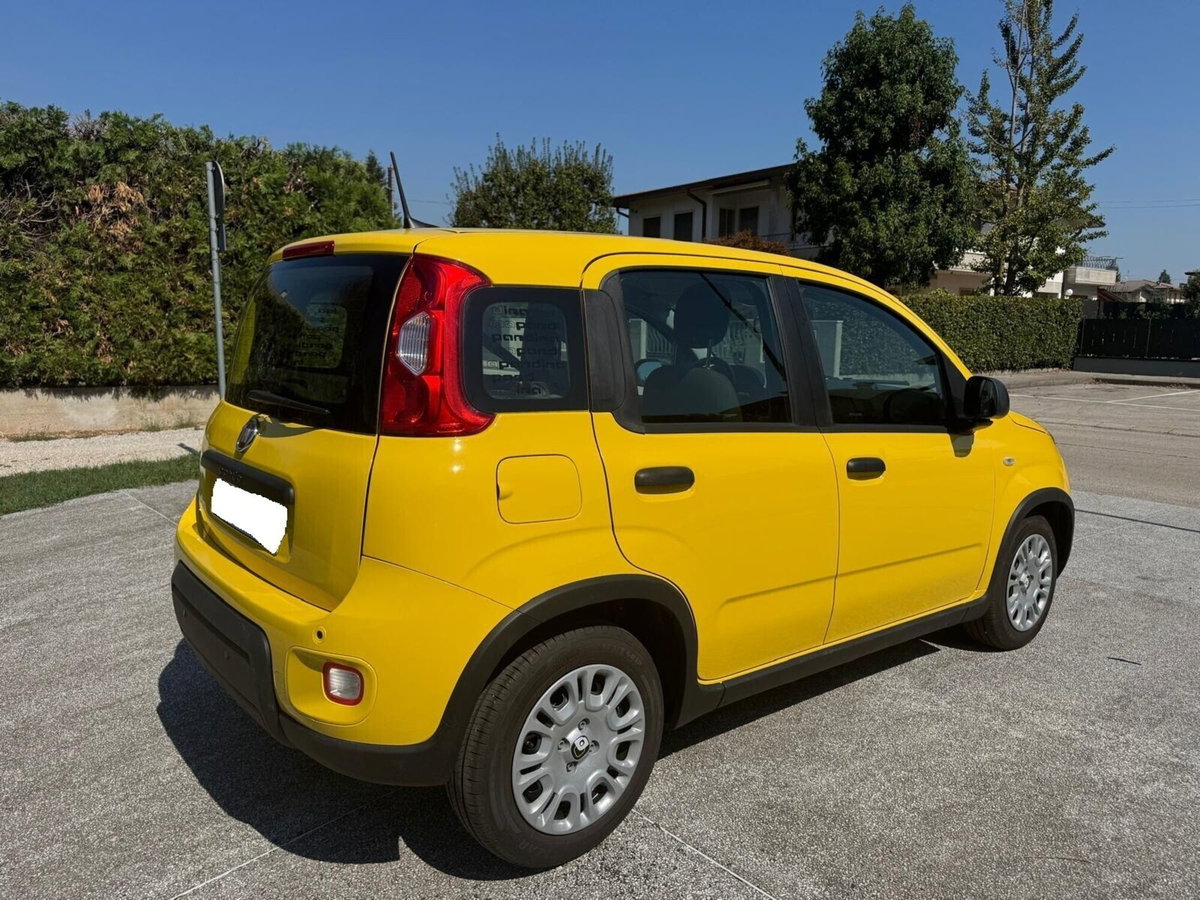 Fiat Panda 1.0 FireFly S&S Hybrid (4)