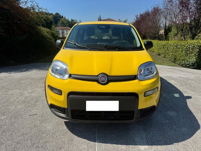 Fiat Panda 1.0 FireFly S&S Hybrid (5)