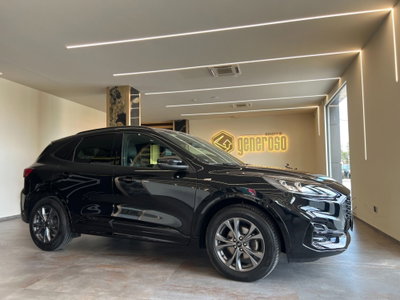 Ford Kuga 2.0 EcoBlue 150CV aut. AWD ST-Line X (2)