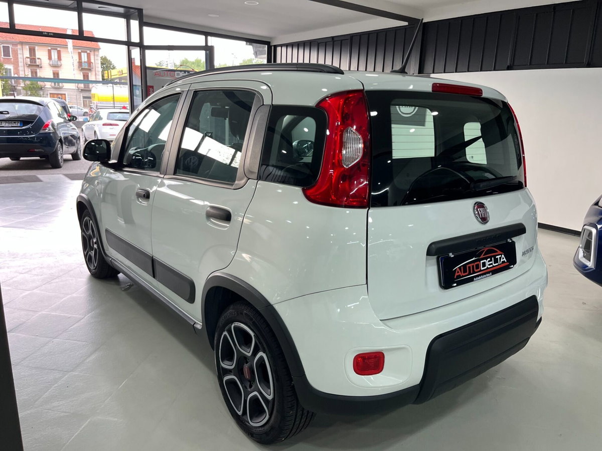 Fiat Panda Cross Cross 1.0 FireFly S&S Hybrid (4)