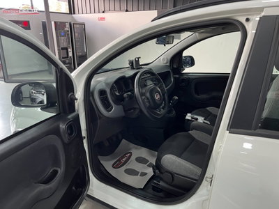 Fiat Panda Cross Cross 1.0 FireFly S&S Hybrid (8)