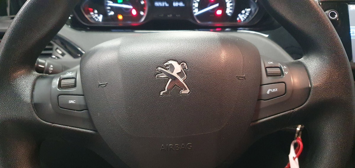 Peugeot 208 75 5 porte Active (5)