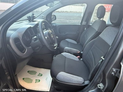 Fiat Panda Cross Cross 1.0 FireFly S&S Hybrid (12)