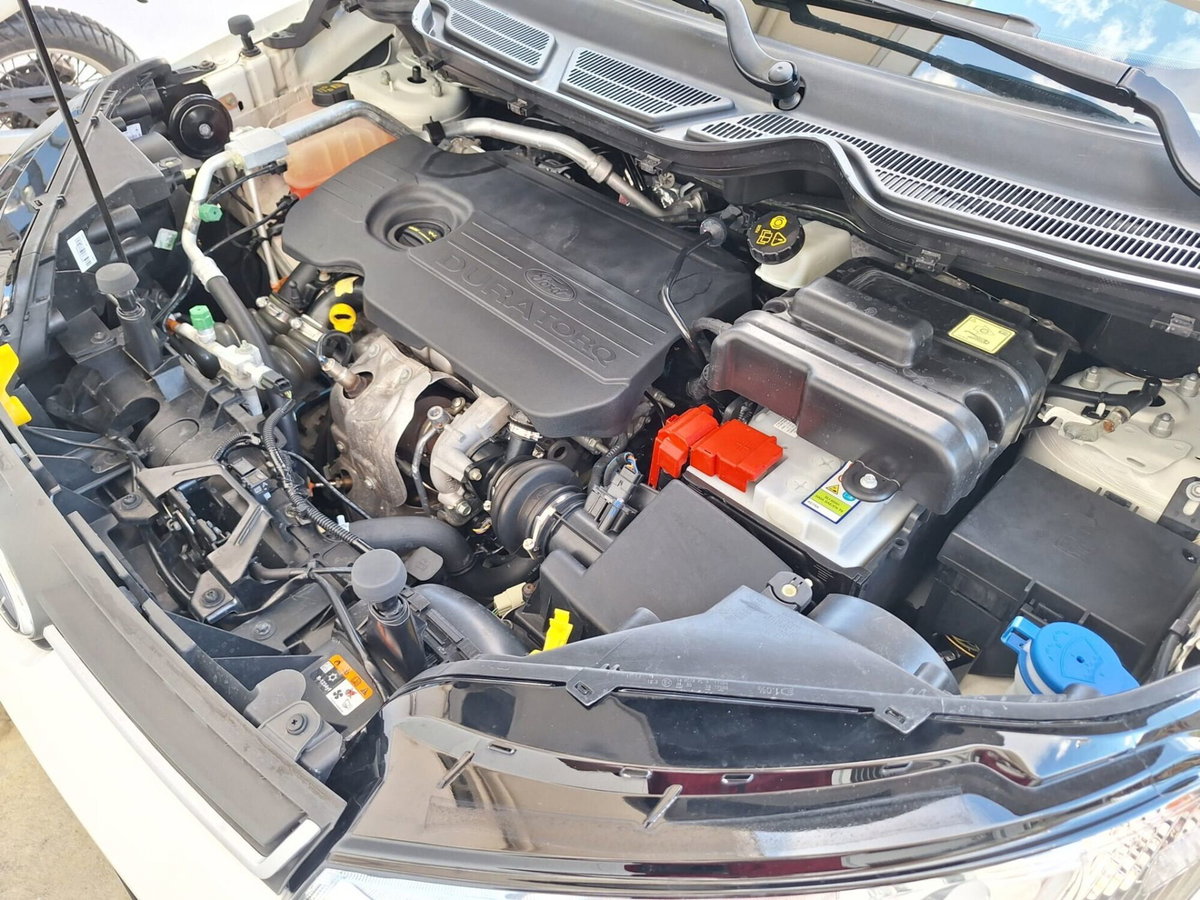 Ford EcoSport 1.5 TDCi 95 CV Plus (15)