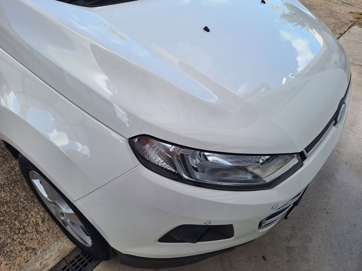 Ford EcoSport 1.5 TDCi 95 CV Plus (10)
