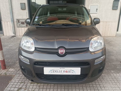 Fiat Panda 1.2 Lounge usata