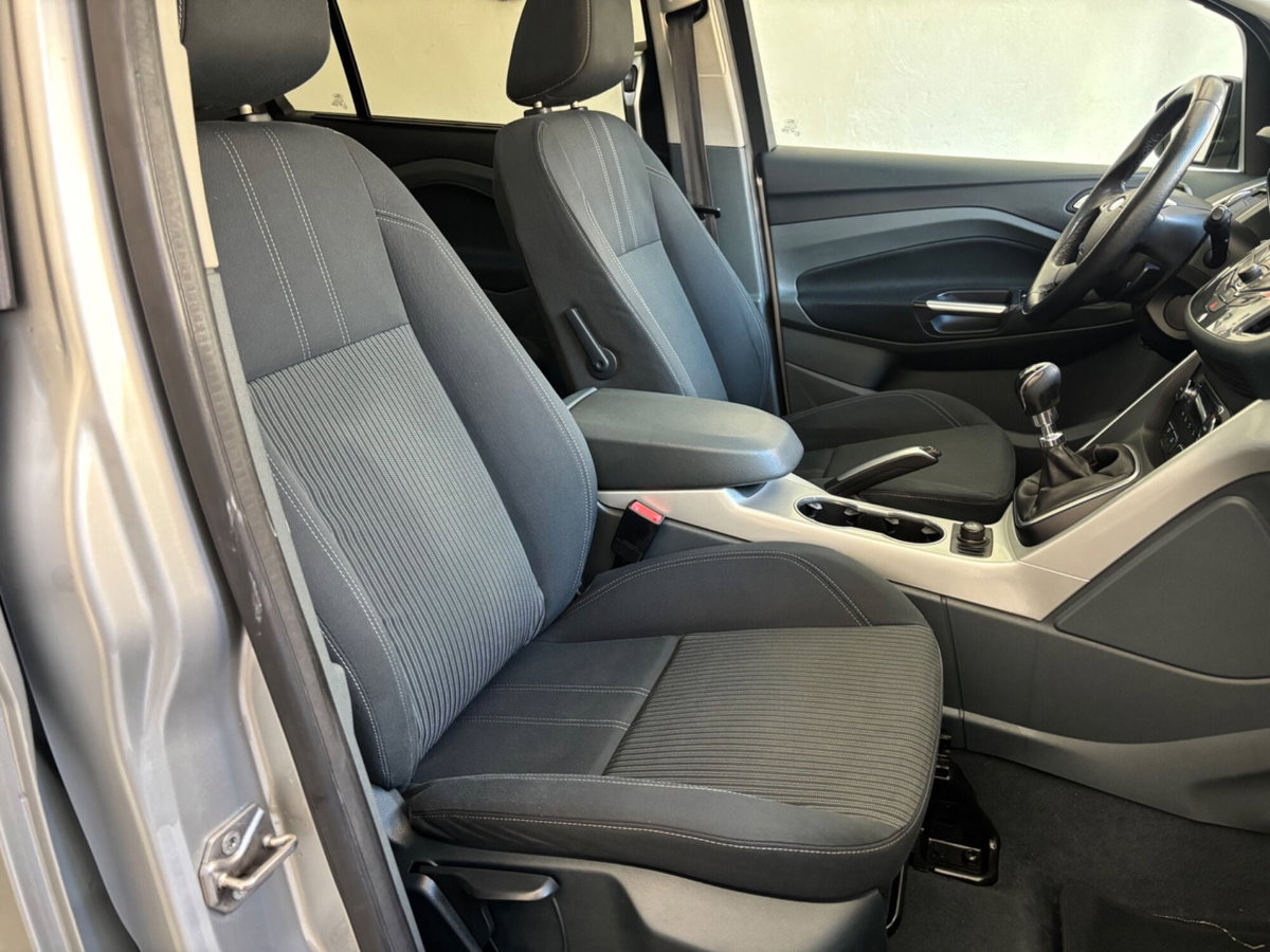 Ford C-Max 1.6 TDCi 115CV Titanium (14)