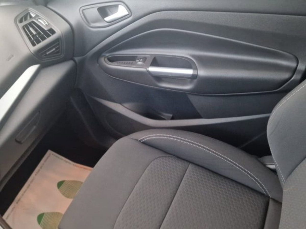 Ford Kuga 2.0 TDCI 120 CV S&S 2WD Powershift Business (17)