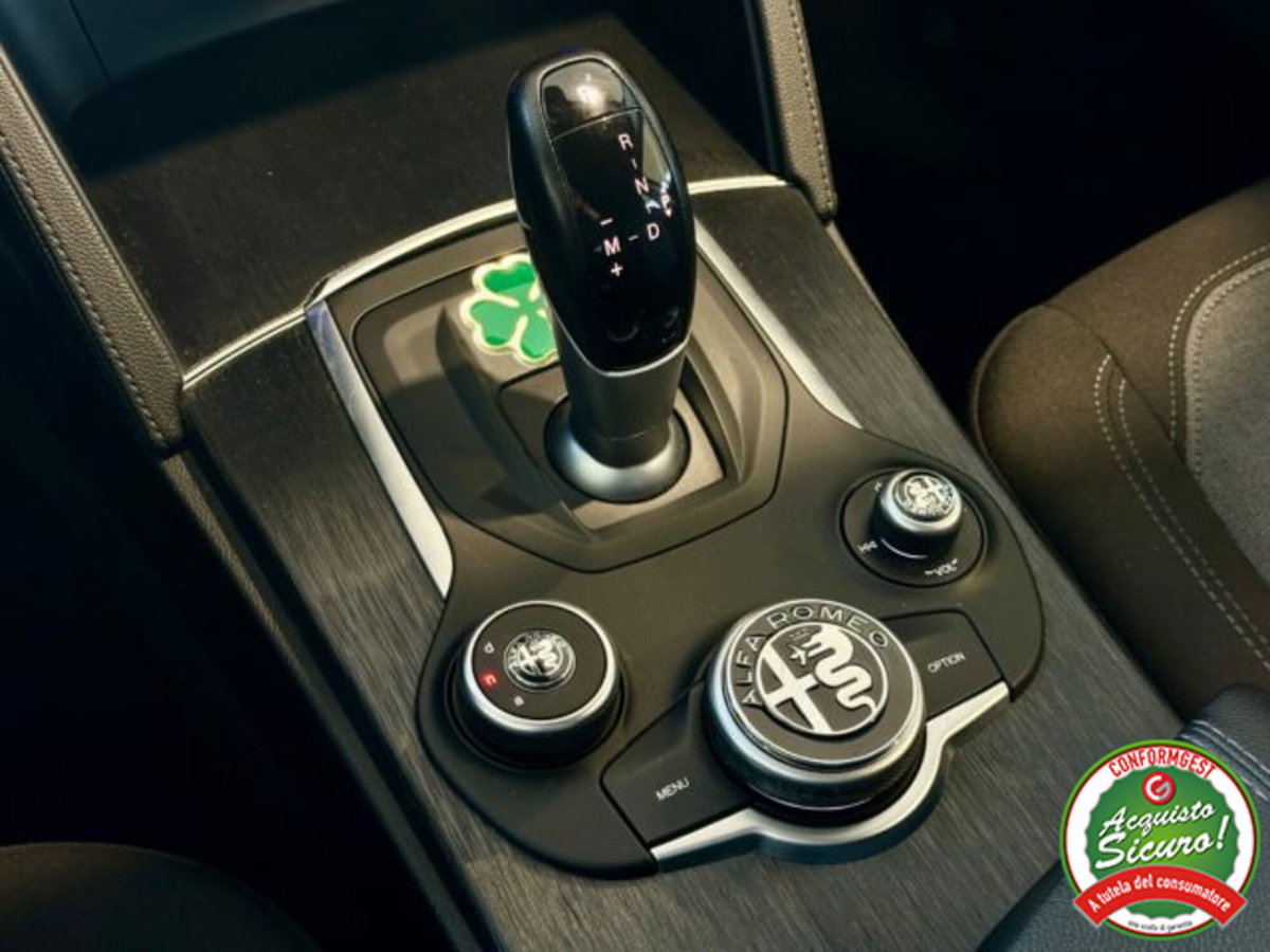 Alfa Romeo Stelvio Stelvio 2.2 Turbodiesel 160 CV AT8 RWD Super Business (12)