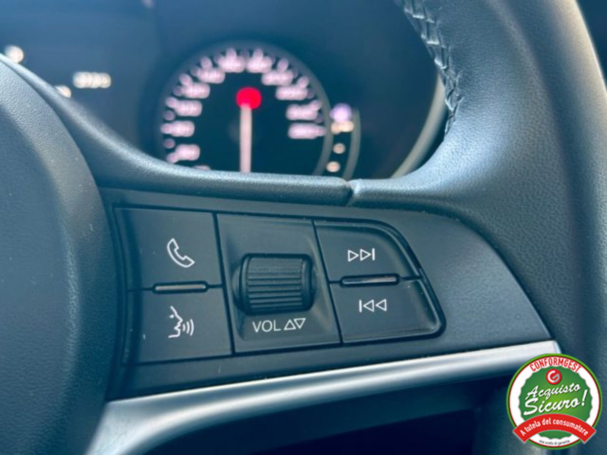 Alfa Romeo Stelvio Stelvio 2.2 Turbodiesel 160 CV AT8 RWD Super Business (18)