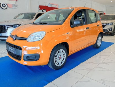 Fiat Panda 1.2 Pop usata