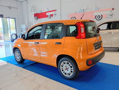 Fiat Panda 1.2 Pop (4)