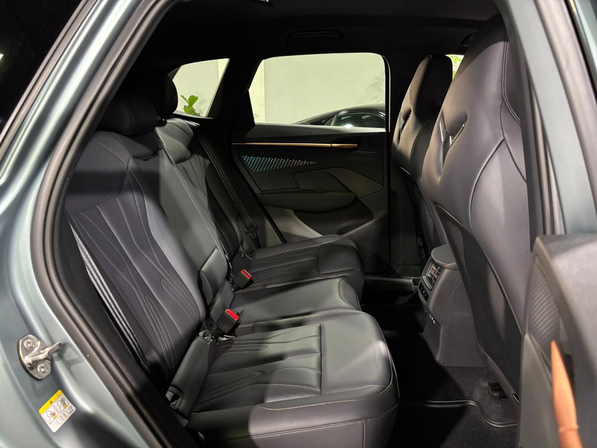 Cupra Terramar 1.5 e-hybrid VZ 272cv dsg (15)
