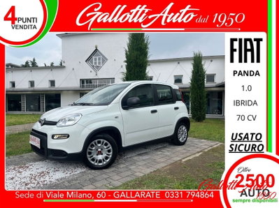 Fiat Panda Cross Cross 1.0 FireFly S&S Hybrid usata