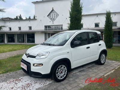 Fiat Panda Cross Cross 1.0 FireFly S&S Hybrid (3)