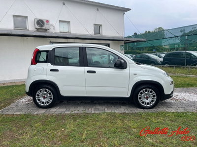 Fiat Panda Cross Cross 1.0 FireFly S&S Hybrid (6)