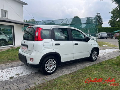 Fiat Panda Cross Cross 1.0 FireFly S&S Hybrid (7)