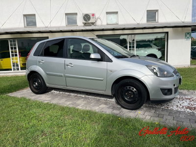 Ford Fiesta 1.4 TDCi 5p. Titanium (5)