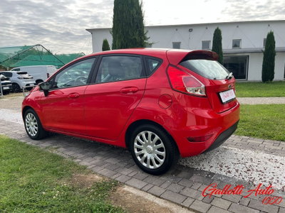 Ford Fiesta Plus 1.5 TDCi 75CV 5 porte (2)