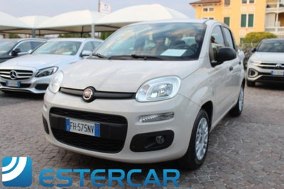 Fiat Panda 1.2 Easy usata