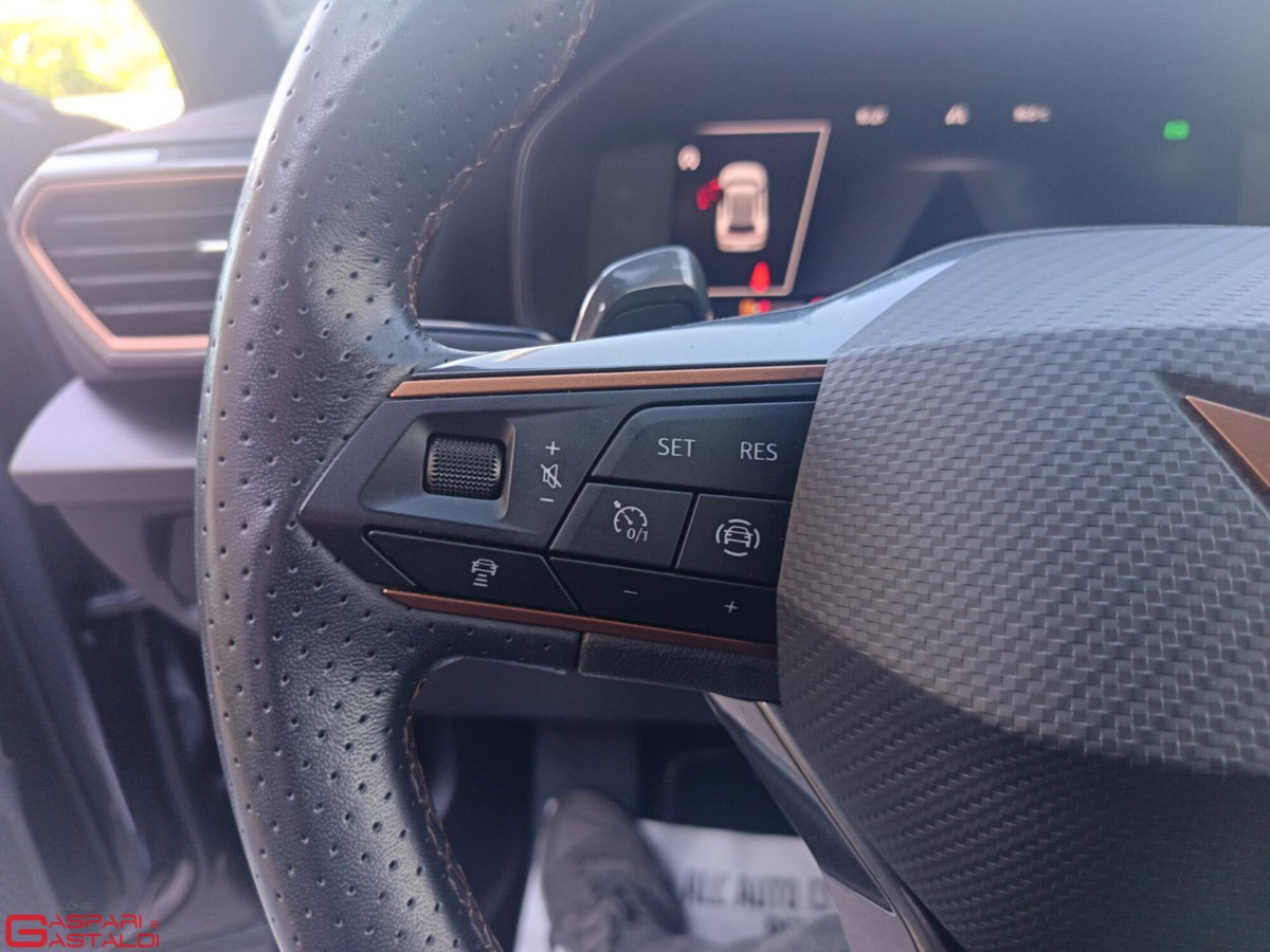 Cupra Formentor Formentor 2.0 tdi 4drive 150cv dsg (15)