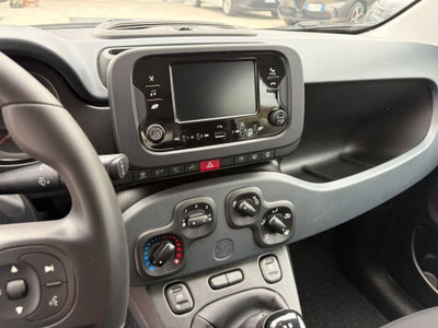 Fiat Panda Cross Cross 1.0 FireFly S&S Hybrid (12)
