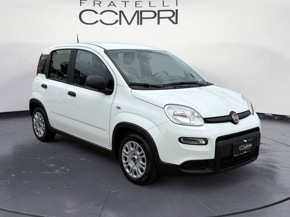 Fiat Panda Cross Cross 1.0 FireFly S&S Hybrid (2)