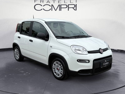 Fiat Panda Cross Cross 1.0 FireFly S&S Hybrid (2)