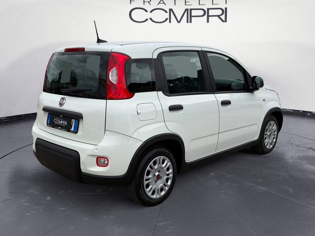 Fiat Panda Cross Cross 1.0 FireFly S&S Hybrid (3)