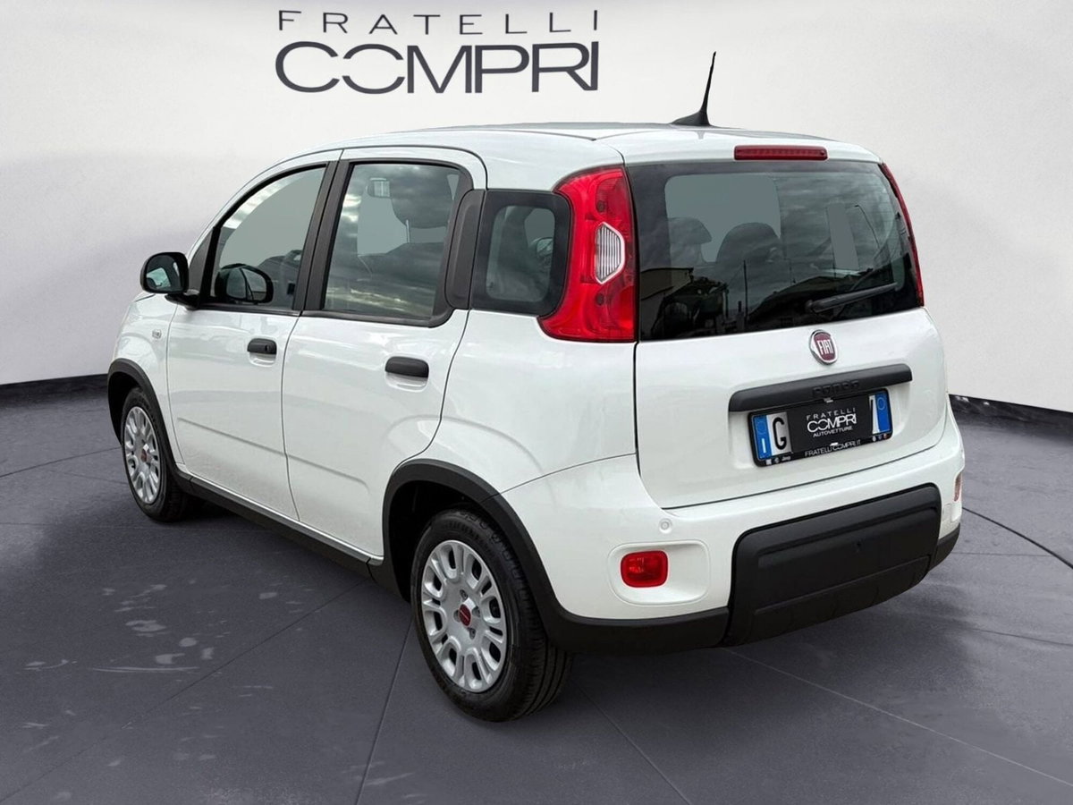Fiat Panda Cross Cross 1.0 FireFly S&S Hybrid (4)
