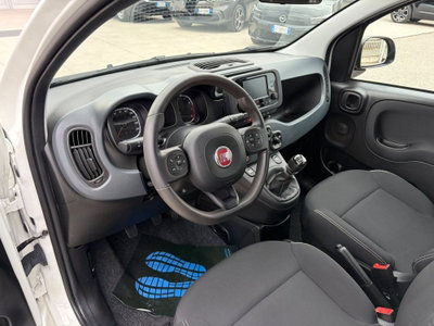 Fiat Panda Cross Cross 1.0 FireFly S&S Hybrid (8)