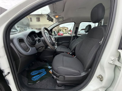 Fiat Panda Cross Cross 1.0 FireFly S&S Hybrid (9)