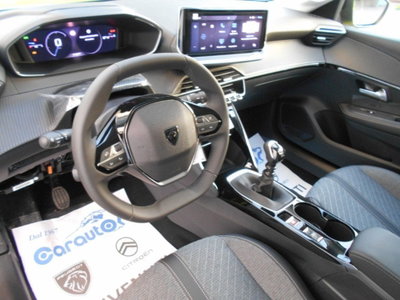 Peugeot 208 PureTech 100 Stop&Start 5 porte Allure (4)