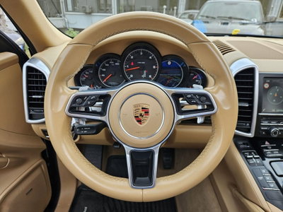 Porsche Cayenne 3.0 Diesel Platinum Edition (15)