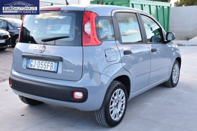 Fiat Panda Cross Cross 1.0 FireFly S&S Hybrid (4)