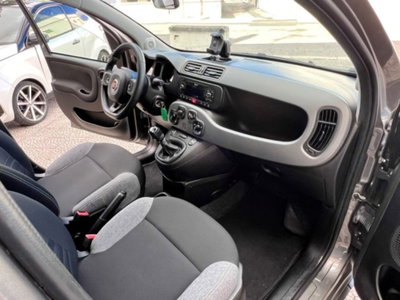 Fiat Panda 1.0 firefly hybrid s&s 70cv 5p.ti (10)