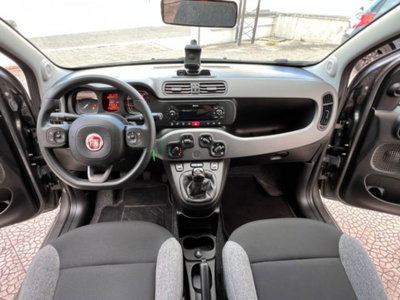 Fiat Panda 1.0 firefly hybrid s&s 70cv 5p.ti (13)