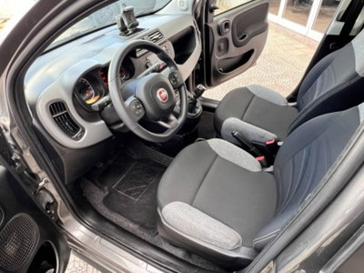 Fiat Panda 1.0 firefly hybrid s&s 70cv 5p.ti (19)