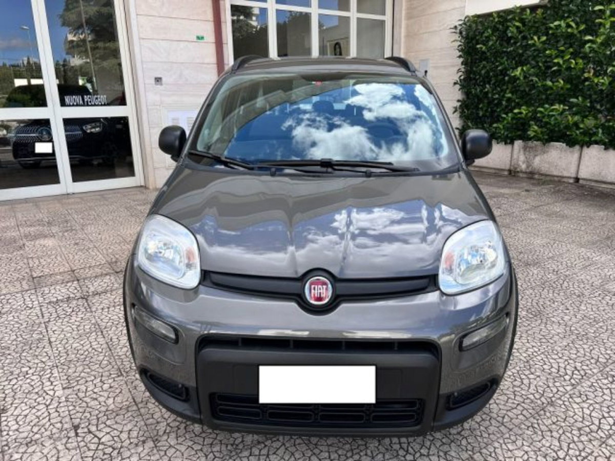 Fiat Panda 1.0 firefly hybrid s&s 70cv 5p.ti (6)