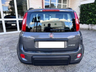 Fiat Panda 1.0 firefly hybrid s&s 70cv 5p.ti (8)
