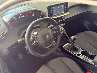 Peugeot 208 BlueHDi 100 Stop&Start 5 porte Allure (20)