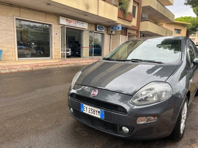 Fiat Punto 1.3 MJT II 75 CV 5 porte Young usata